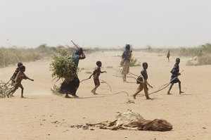 Afrique catastrophes climatiques