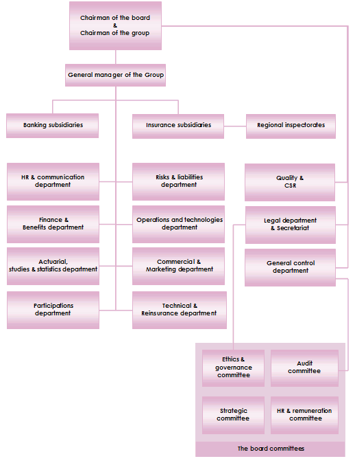Organisation chart-nsia