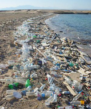 Photo credit: Vberger (modified picture) 