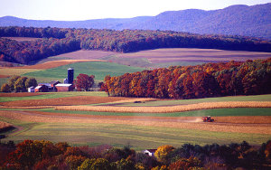 Crédit photo: United States Department of Agriculture / Scott Bauer