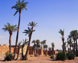 Used with permission from Microsoft