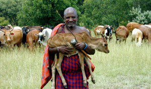 Photo credit: US Gov.