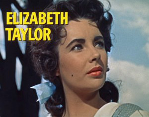 Photo credit: Giant Trailer