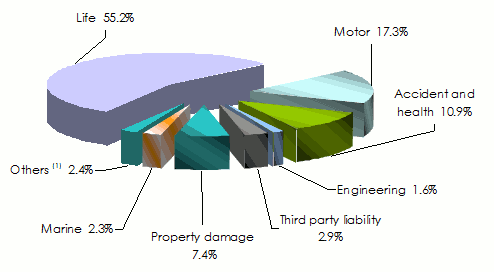 mauritius turnover class of business