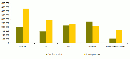 réassurance moyen orient capital fonds propres compagnie