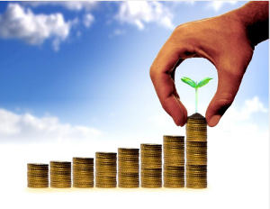 growth insurance market