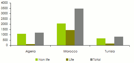 Maghreb insurance market