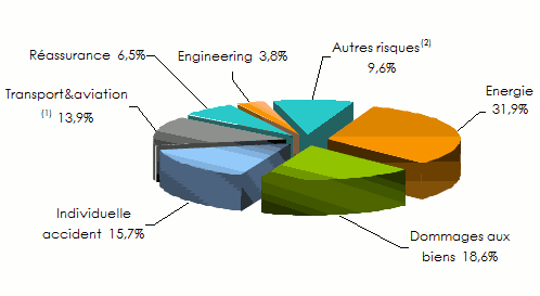 IGI-EAU chiffre d'affaires branche