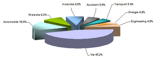 marché égyptien assurance 2017