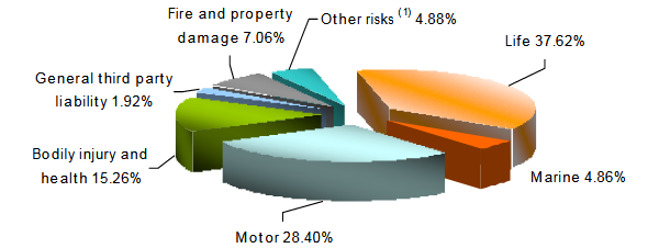 Insurance Burkina Faso