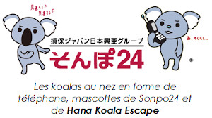 hana koala escape