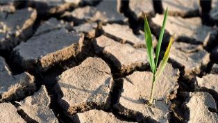 Changement climatique 2022