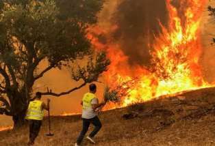 Incendies Algérie