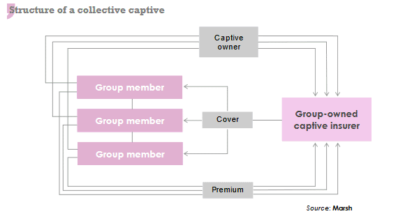 collective captive