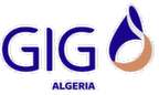 gig Algeria