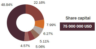 Arab re Share Capital