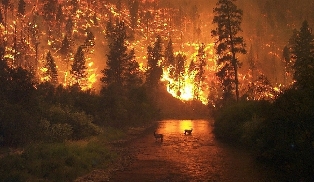 Le Canada ravagé par les pires incendies