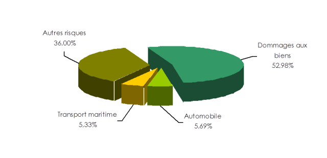 Oman Re chiffre affaires par branche