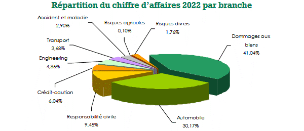 Hollard Insurance Company chiffre d'affaires