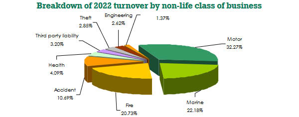 ICEA LION General Insurance-turnover non life