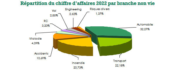 ICEA LION General Insurance Company chiffre affaires non vie
