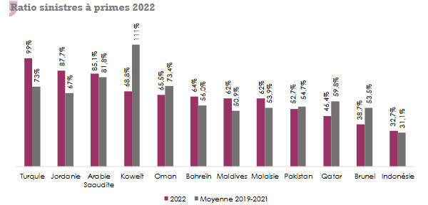 assurance takaful non vie ratio sinistres