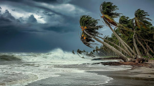 Natural catastrophes