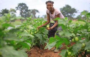 Changement climatique