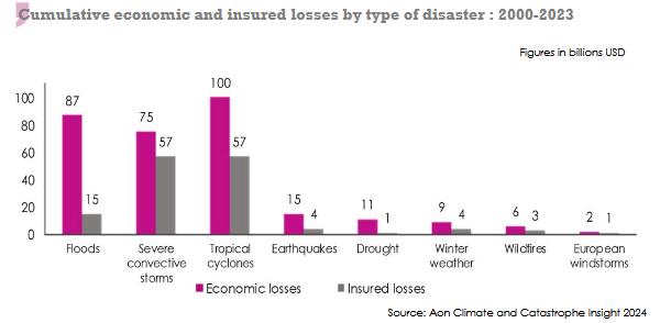 Natural desasters losses