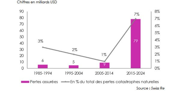 feux de foret pertes assurees