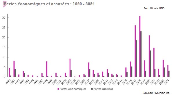 feux de foret pertes économiques assurees