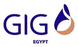 GIG egypt