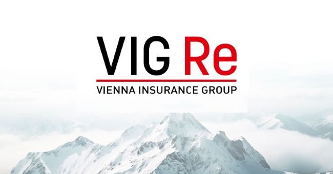 vig-re