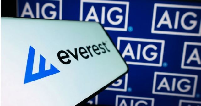 everest aig