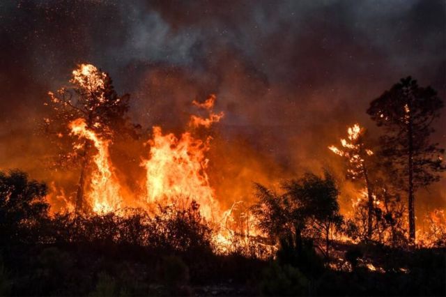incendies Bejaia Algérie