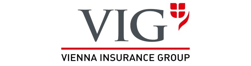 VIG insurance