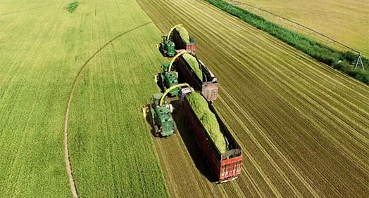 Agriculture
