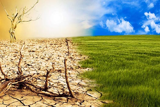 Climate