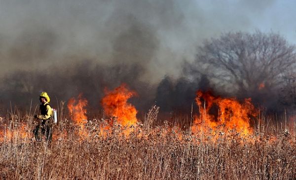 incendies France