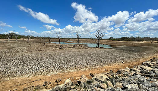 Réchauffement climatique