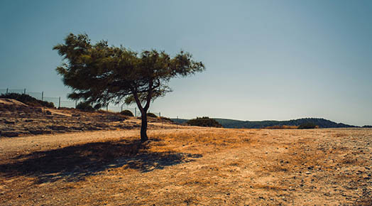 Drought