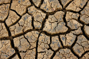 Drought in Zambia
