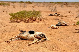 Drought africa