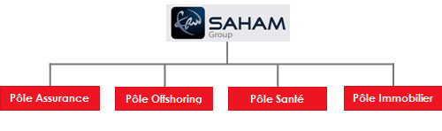 Structure groupe Saham