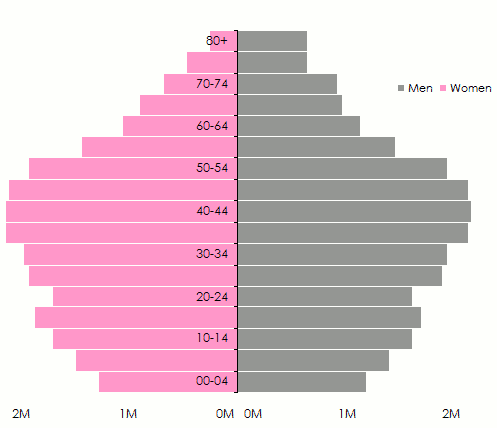 Evolution of the population pyramid for developing countries 2010