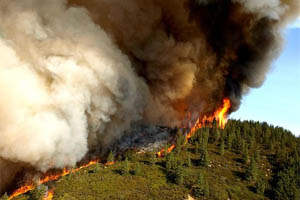 Incendie Californie