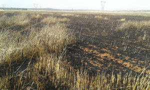 Agricultural land fires
