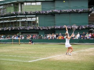 tennis Wimbledon