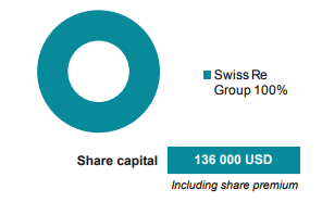 Swiss-re-capital-&-shareholding.PNG