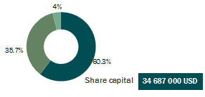 swiss re share capital